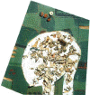 portret1.gif (90470 bytes)